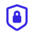 security encryption shield lock icon